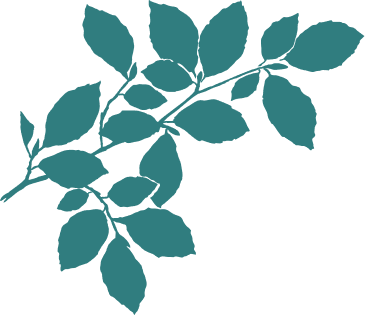 branchefullbleu