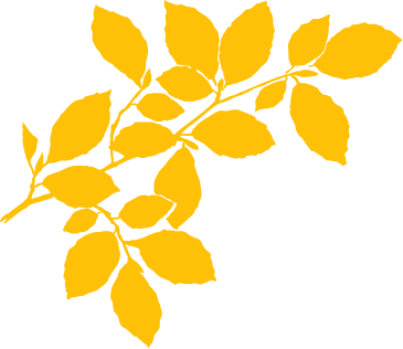Feuille albon du camping