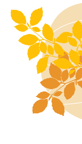 Feuille albon du camping