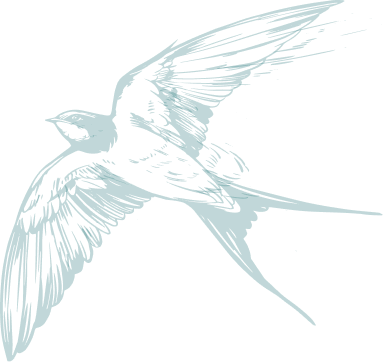 Oiseau du camping à Albon dans la Drôme