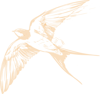 Oiseau du Camping 3 étoiles à Albon dans la Drôme