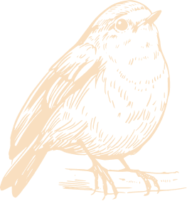 moineauorange